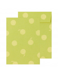 Lot de papier à lettre + enveloppes + stickers - Capybara - Midori