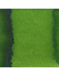 Encre artisanale - Moosgrün - Moss Green - De Atramentis