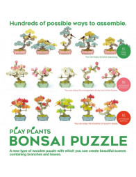 Puzzle bonsai en bois - Érable du Japon - BONSAI PUZZLE