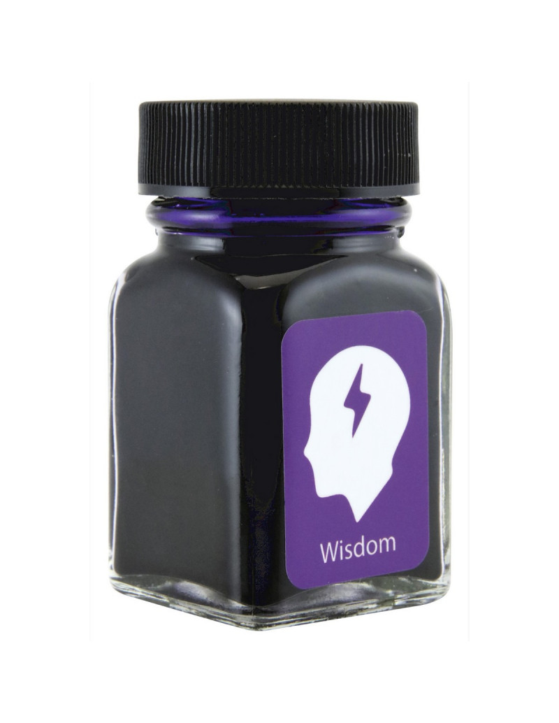 Flacon d'encre 30ml - Wisdom Purple - Monteverde USA