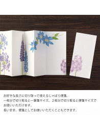 Set de correspondance accordéon - Fleurs Bleues - Midori